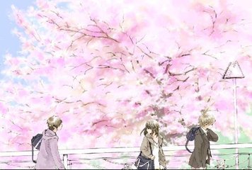 白虎一线天91暗网