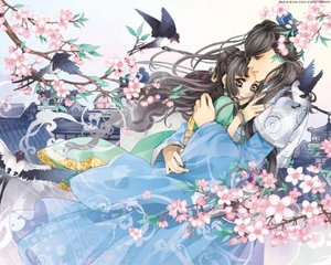 大象影视大全在线观看